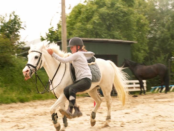 Anden særlig race Stella *RIP* - jeg laver lige et op hop billede 10