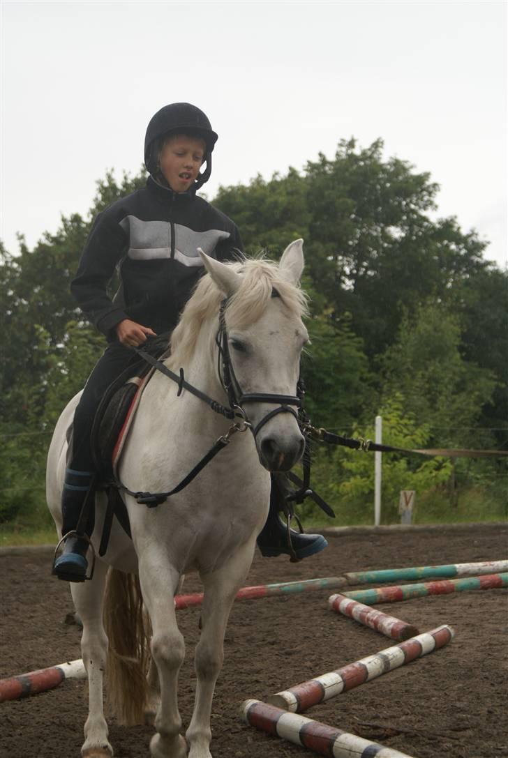 Anden særlig race Hobit - SOLGT - Andreas rider Hobit. billede 20