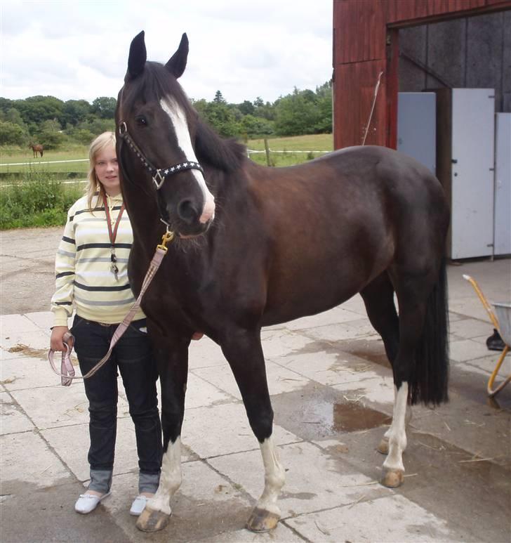 Holstener Priors Maluta billede 6