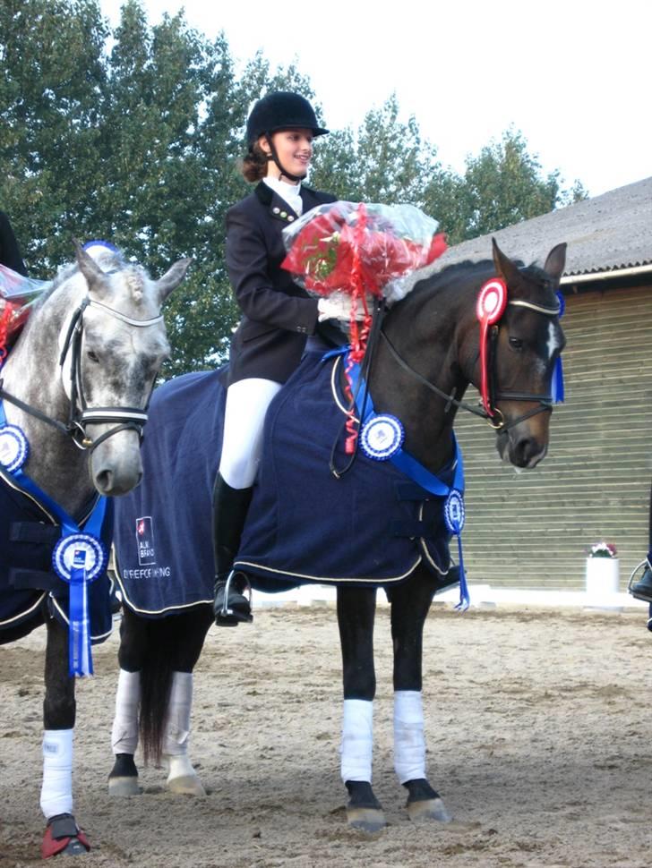 New Forest Elmholts Education A-pony (solgt) - Sjællandsmestre for hold 2009 Foto: Jan Vleugel billede 17