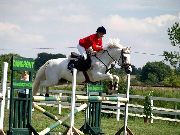 Fransk Sportspony Little Queen II - LA på Kellerup (1 plads lørdag) billede 10