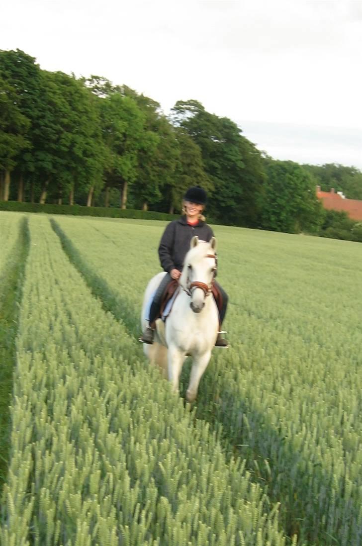 Fransk Sportspony Little Queen II - En skovtur (eller lige her en marktur) billede 14