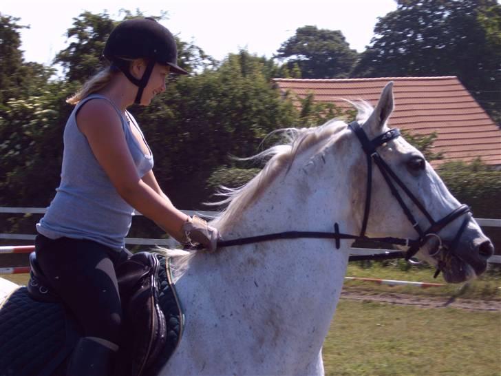 Anden særlig race *Pelle*(Pelle GRIS) billede 6