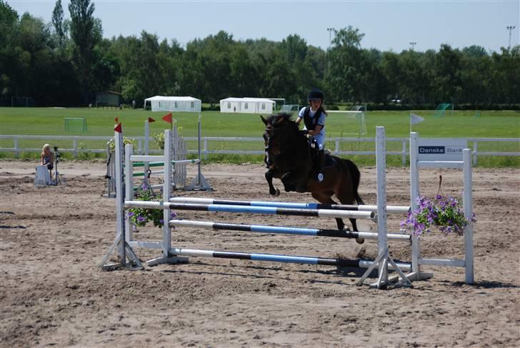 New Forest Palle (solgt) - LA  billede 4