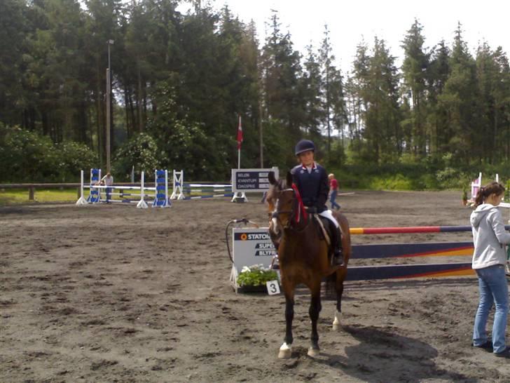 New Forest Palle (solgt) - Nr. 1 LA billede 6