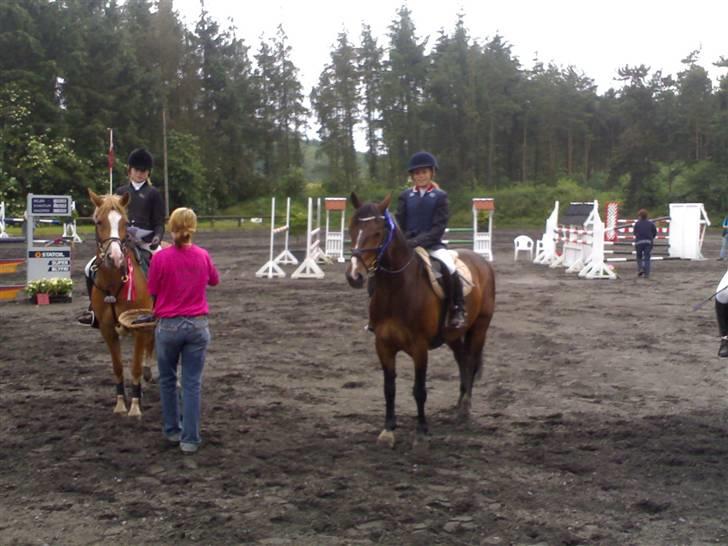 New Forest Palle (solgt) - Nr. 2 MB billede 7