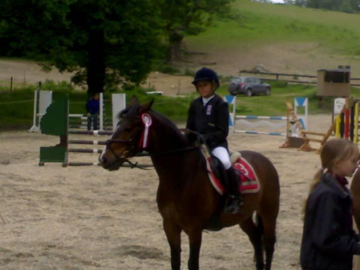 New Forest Palle (solgt) - Nr. 1 LB billede 8