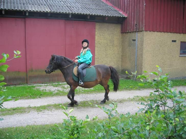 Anden særlig race Gnom - Mig om Gnom på vej ud på tur billede 1