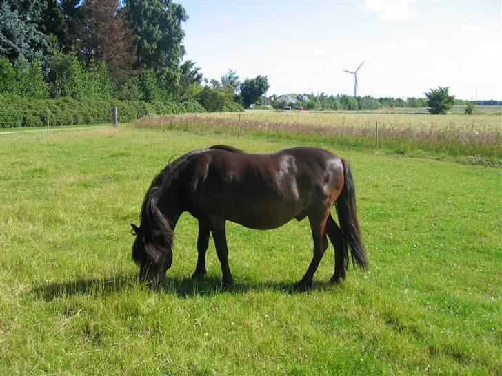 Anden særlig race Gnom - Ahhhhh endelig fri billede 3