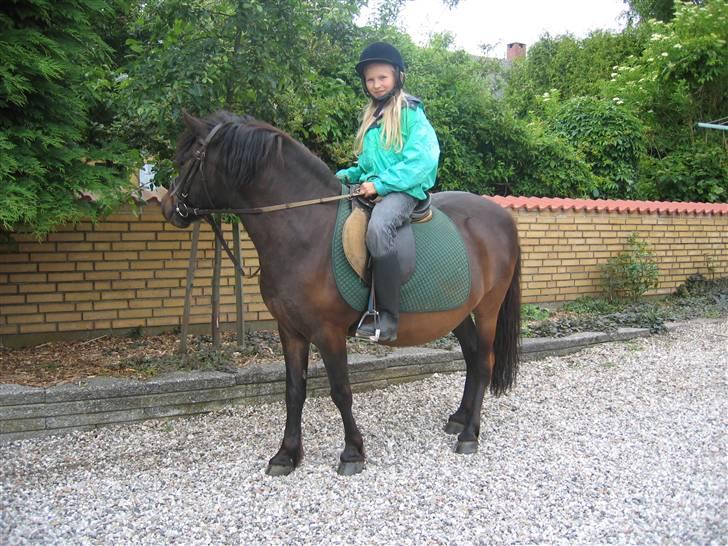 Anden særlig race Gnom - Gnom hilser lige på et af børnehavebørnene(han har vist glemt alt om fotografen) billede 5