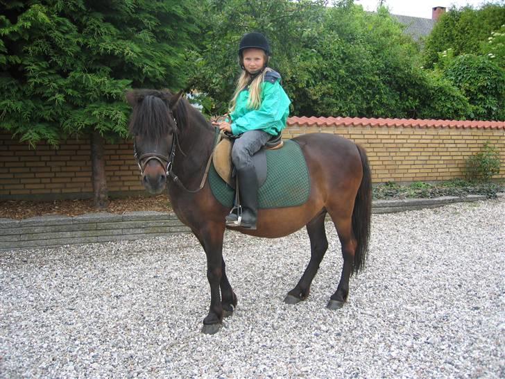 Anden særlig race Gnom - Smil til fotografen Gnom:^) billede 6