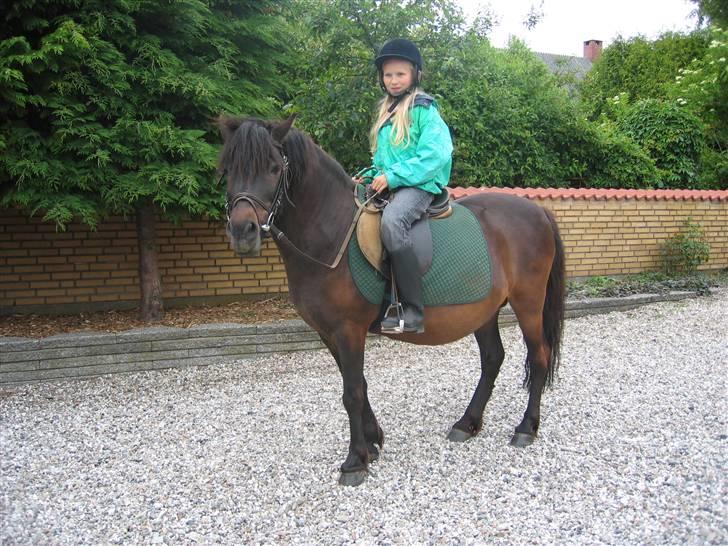 Anden særlig race Gnom - Hvad var nu det?????En fugl????? billede 7