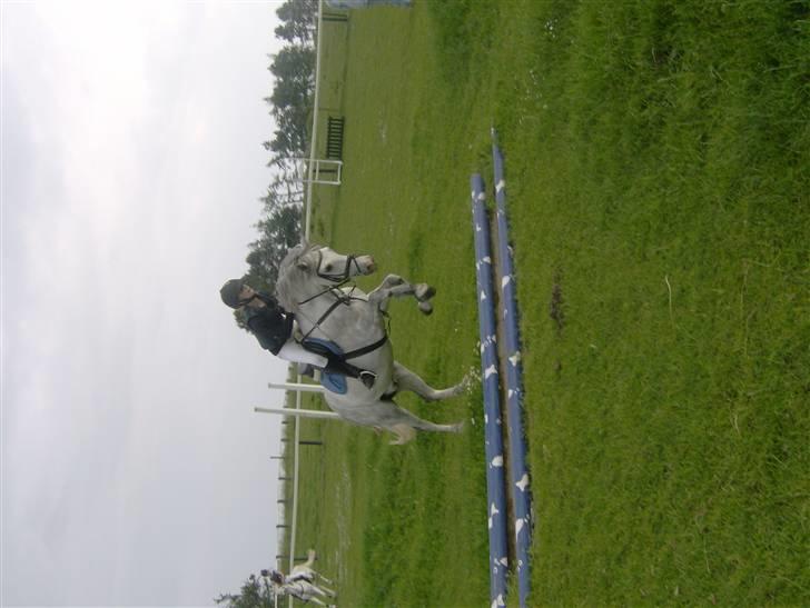 Anden særlig race Milky way - springer over vand grav billede 5