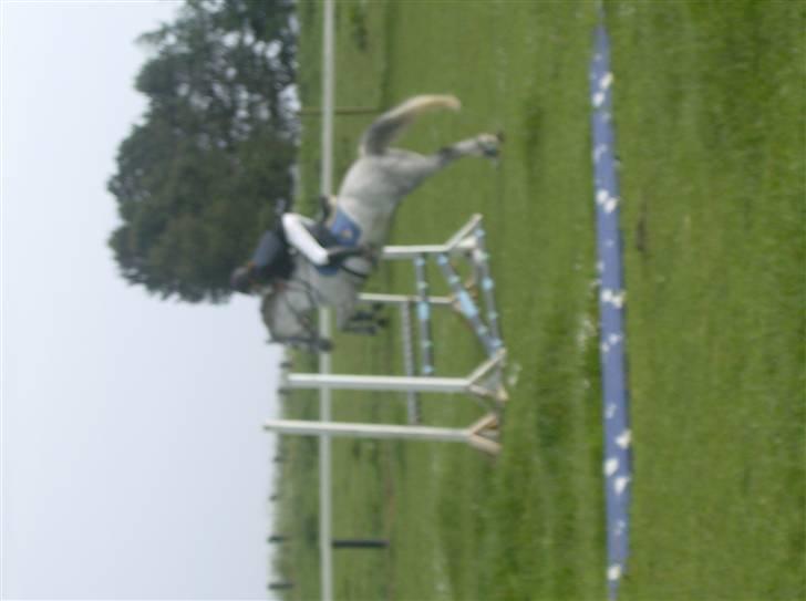 Anden særlig race Milky way - spring billede 8