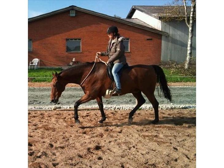 {{currentPhoto.altText}} billede {{currentPhoto.number}}