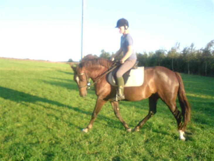 {{currentPhoto.altText}} billede {{currentPhoto.number}}