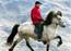 Islandske hestefarver