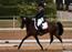 Os dressur pony ryttere