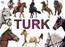 TURK