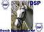Dansk Sports Pony Avl - DSP