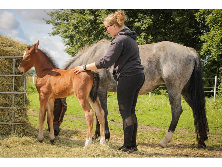 {{currentPhoto.altText}} billede {{currentPhoto.number}}