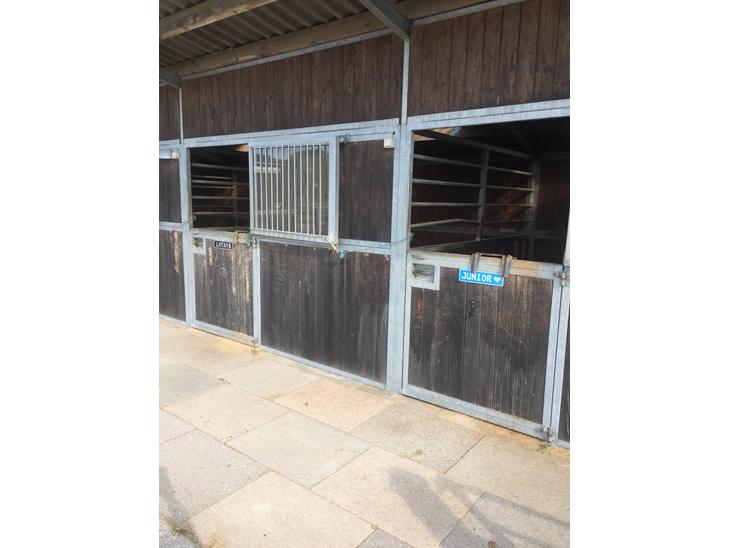 {{currentPhoto.altText}} billede {{currentPhoto.number}}