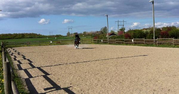 Marquis og jeg dressur træning. Øver LC2 program ( - Diverse hest ...