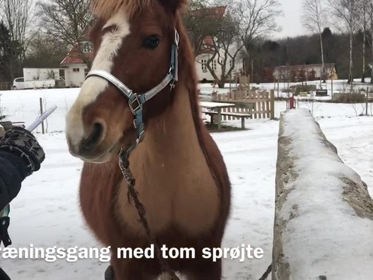 Babes nøgne piger