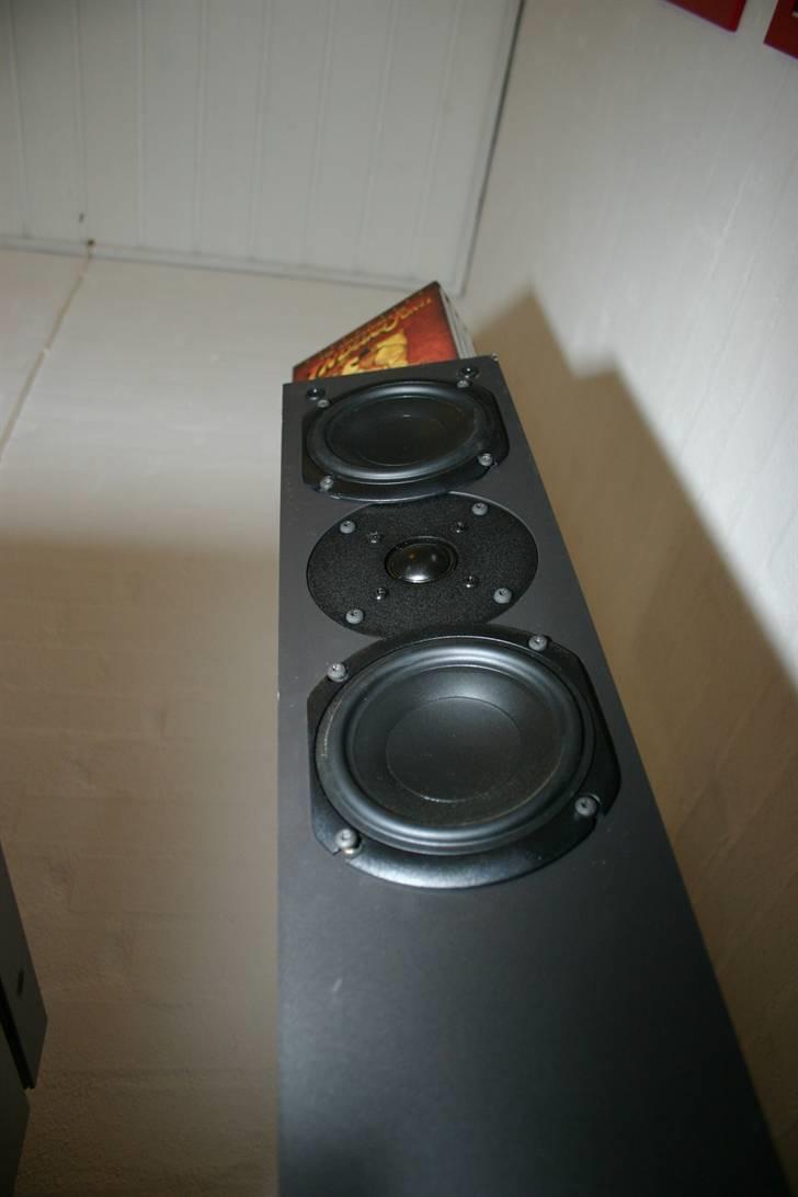 System Audio 1230 på besøg - Smukt billede 4
