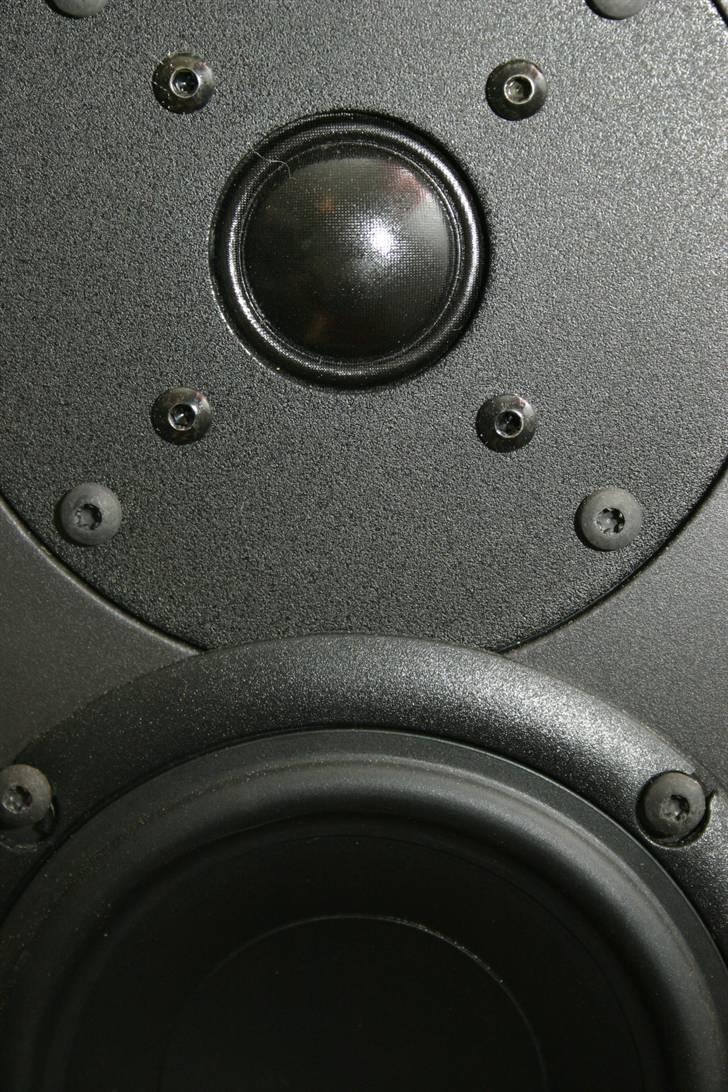 System Audio 1230 på besøg - Den kraftige diskant. når man spilelr højt, tager diskanten lid for meget over, og så bliver det træls at høre højt musik. billede 5
