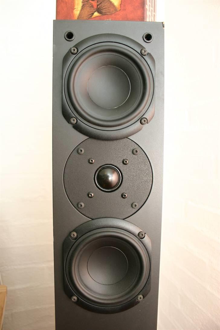 System Audio 1230 på besøg - Flotte enheder..  men bass'en mangler vi lidt af, de små 5,25" enheder, har ikke krafterne til at levere en ordenlig bas. dertil er det en god ide at supplere med en subwoofer, helst ikke for stor min jamo SW 3015 var lige nummert for stort, men så brøvede jeg med en jamo SW300 II og den gav lige bunden. billede 6