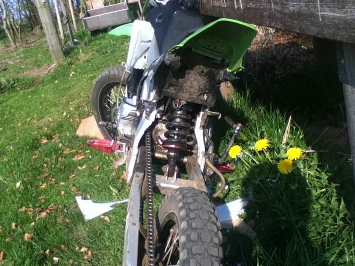 Apollo orion 29/dirtbike 110cc billede 6