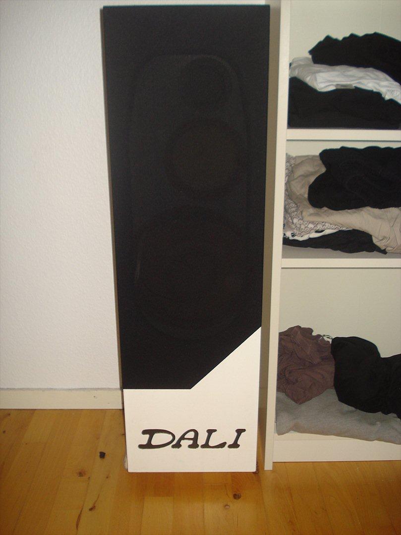 Istandsættelse - Dali 7a billede 8