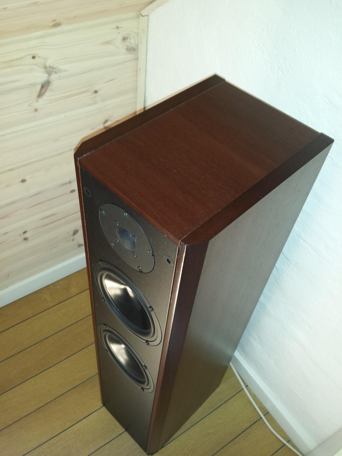 Dali 450 billede 2