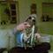 Jasper H