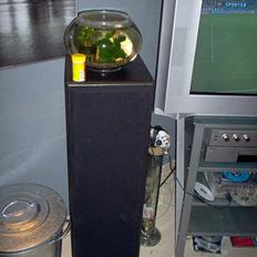 Hjemmebiograf Blandet godt