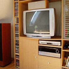 Hjemmebiograf Harman/kardon-Dali-Jamo