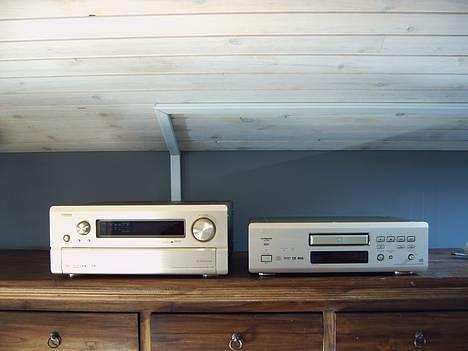 Hjemmebiograf Denon THX - Dali - Denon AVC-A11SR & Denon DVD 2900 Mk II billede 1