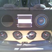 Bilstereo Boxter, earthquake, bull.