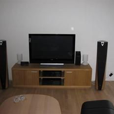 Hjemmebiograf Rotel / Focal / Pioneer
