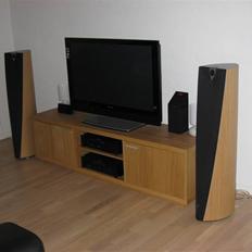 Hjemmebiograf Rotel / Focal / Pioneer