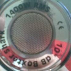 Bilstereo Boxter, earthquake, bull.
