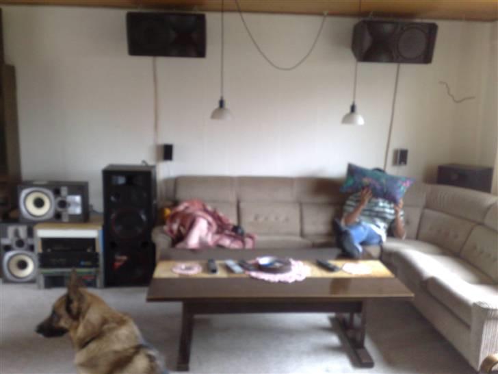 Diskoteksanlæg Hjemme Brug billede 11