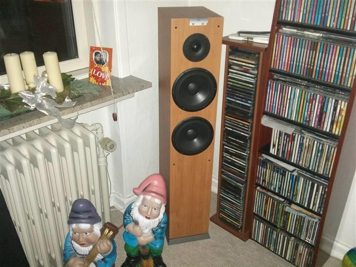 Hjemmebiograf Stueanlæg billede 1