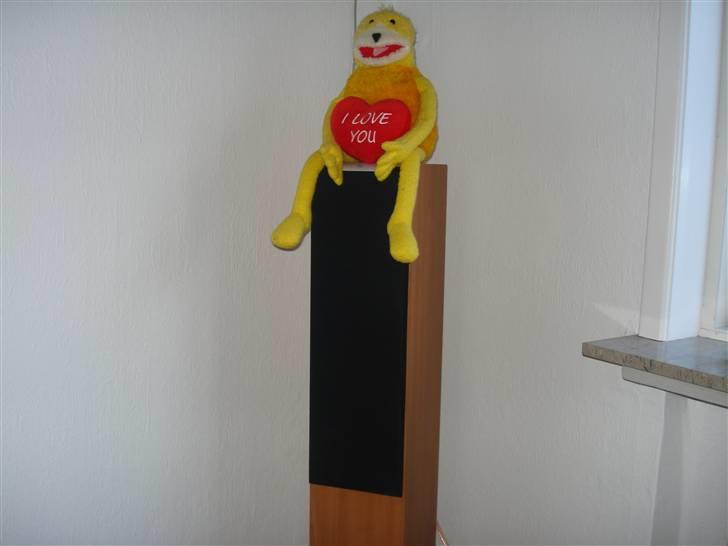 Hjemmebiograf Stueanlæg billede 9