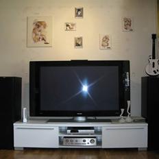 Hjemmebiograf 50" plasma, Wii + xbox360