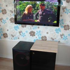 Hjemmebiograf Pioneer / Cerwin vega