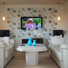 Hjemmebiograf Pioneer / Cerwin vega