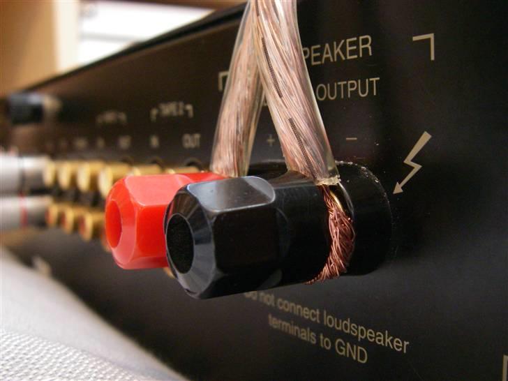 Musikanlæg Dali 109 + Thule IA100 - Skrue terminaler billede 8