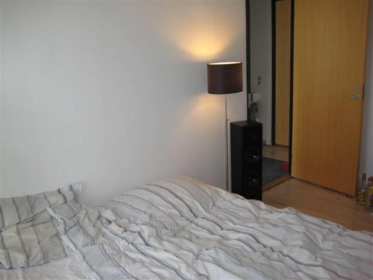 Hjemmebiograf Cerwin-Vega - Nyt setup billede 14